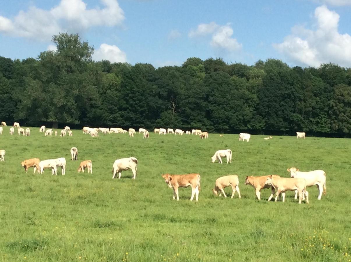 Aux Bois Dores De La Ferme De Sorval, Animaux De La Ferme, Fitness Selvigny 外观 照片